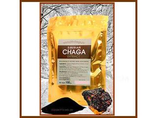 High-Quality Chaga Extract - Direct From Siberia