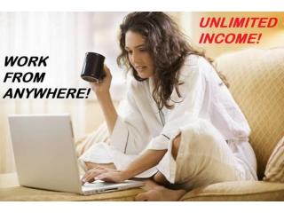 Access to multiple income streams