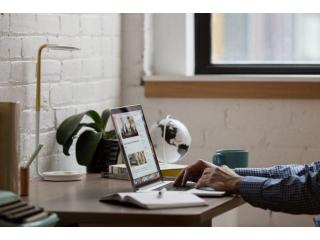 Unlock The ONE Link You Need!