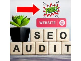 Let Us SEO Your Website For Free