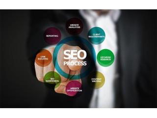 SEO Services For Small Business